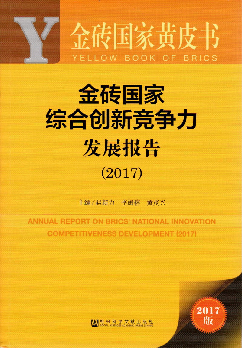 啊…好爽…使劲视频金砖国家综合创新竞争力发展报告（2017）